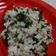 Cooksnap dari riyanidi untuk resep Nasi Goreng Bayam (No MSG)
