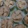 Cooksnap dari Nengah Hardiani untuk resep Bolu Kukus Tanpa Soda