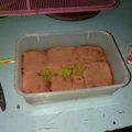 Cooksnap dari New Princezz Novii Martadinata untuk resep Puding crakers milo kukus (LLA)