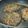 El cooksnap de clareta cuando hizo Hamburguesas de quinoa, remolacha y espinacas.