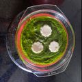 Charusheela Prabhu's cooksnap of when they made पालक पनीर.
