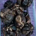 Cooksnap dari Novika Arjanti untuk resep Black Garlic (Bawang Putih Hitam)