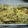 Saira Imran's cooksnap of when they made Tikka Biryani.