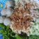 Cooksnap dari VEE LOUIS untuk resep Cwie Mie Ayam