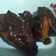 Cooksnap dari Devi lolita sari untuk resep Spicy wings chicken