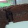 Cooksnap dari Desita Nidya untuk resep Brownies ny.liem