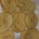 El cooksnap de carlairis cuando hizo Tortas fritas sencillas y rápidas.