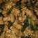 Cooksnap dari mmm3 untuk resep Tumis Sayur
