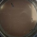 El cooksnap de Rodolfo Echenique cuando hizo Arroz con leche con dulce de leche.