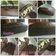 Cooksnap dari Sophie untuk resep Brownies Panggang