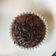 Zsófi Péter Cooksnap-ja, amikor elkészítette a(z) Kakaós muffin receptet.