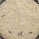 El cooksnap de Pauli Ivette Luke cuando hizo Arroz con Leche! 🥰.