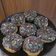 Cooksnap dari Andini Sahfitri untuk resep Donat kampung (Tanpa telur)