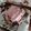 Food Hacker's cooksnap of when they made Hacked Chocolate Sheet Cake (Extreme Protein/Gluten free).