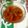 Misbah Anjum's cooksnap of when they made Mughlai Qorma.