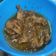 Cooksnap dari Fitria Ningsih untuk resep Ayam Teriyaki (ala Hokben)