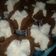 Cooksnap dari Ndane Dedek untuk resep Bolu Kukus Mekar No Soda
