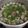 Cooksnap của Trương Thị Thu Trà khi họ làm theo món Canh Khổ Qua Cá Thác Lác