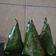 Cooksnap dari Ruth(@Charisty G) untuk resep Nasi bakar ayam daun kemangi