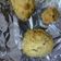 Cooksnap dari Erlita Asnar untuk resep Nutella Chocochips Cookies