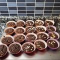 El cooksnap de Marilo Per cuando hizo Magdalenas de avena y cacao.
