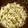 Madhuri Watekar's cooksnap of when they made मटर पुलाव (mutter pulav recipe in marathi).