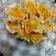 Cooksnap dari Iva Alfiani untuk resep Siomay dimsum uenakk...^-^