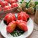 Cooksnap dari Teh Agie untuk resep Kue Ku bentuk Buah