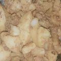 Raghu vanshu का कुकस्नैप जब उन्होंने गोभी आलू मटर की सब्जी (gobi aloo matar ke sabzi recipe in Hindi) बनाया था।