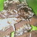 Cooksnap dari Nurel Jannatee Nurul untuk resep Brownies