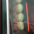 El cooksnap de Exquisito me salió cuando hizo Chipitas de almidón en licuadora.