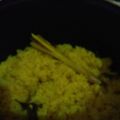Cooksnap dari Shelly Priyo untuk resep Nasi Kuning Magiccom