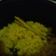 Cooksnap dari Shelly Priyo untuk resep Nasi Kuning Magiccom
