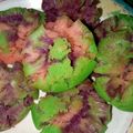 Cooksnap dari Wienski Lv untuk resep Carabika / Carabikang / Bikang Terigu Empuk, Mudah, Anti Gagal