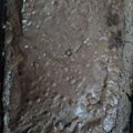 El cooksnap de ale cuando hizo Brownie de cacao en polvo.