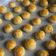 Cooksnap dari Elisa untuk resep Nastar Super Lumer