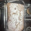 El cooksnap de Nicole Arriagada cuando hizo Queque de Zanahoria (Apto APLV y soya).