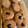 El cooksnap de Micaela Botti cuando hizo Galletas de chocolate sin mantequilla.