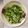 小汶醬 的 【家常料理】薑絲炒小白菜。快速上菜 cooksnap