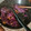 El cooksnap de Paloma cuando hizo Lombarda con manzana, pasas y nueces (olla exprés).