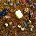 El cooksnap de Marieta cuando hizo Arroz con conejo y caracoles (Esther).