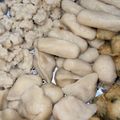 Cooksnap dari Bundadari ✅ untuk resep Pempek Lenjer, Kapal Selam, Adaan & Tekwan Ikan Tenggiri Nikmat!