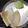 Bharati Kini's cooksnap of when they made Neer Dosa.