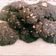 Cooksnap dari Acit Syarief untuk resep KUE KERING KETO ((Almond cookies))