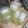 Mahnoorawan's cooksnap of when they made Mint Margrita.