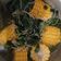 Cooksnap dari Ar Arnii untuk resep Sayur bening bayam