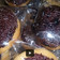 Cooksnap dari Wienski Lv untuk resep Chocolate Ganache (Bisa untuk topping Cake atau Donuts Glaze)