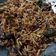 Cooksnap dari Ayue Irfan untuk resep Sambal goreng hati kering kentang