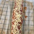 El cooksnap de Soraya Sanchez Rey Rodriguez Palancas cuando hizo Brazo de gitano salado de masa de calabacín 🥒.