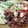 รูป Cooksnap ของ piya peipei เมื่อเขาทำ หมูมะนาว